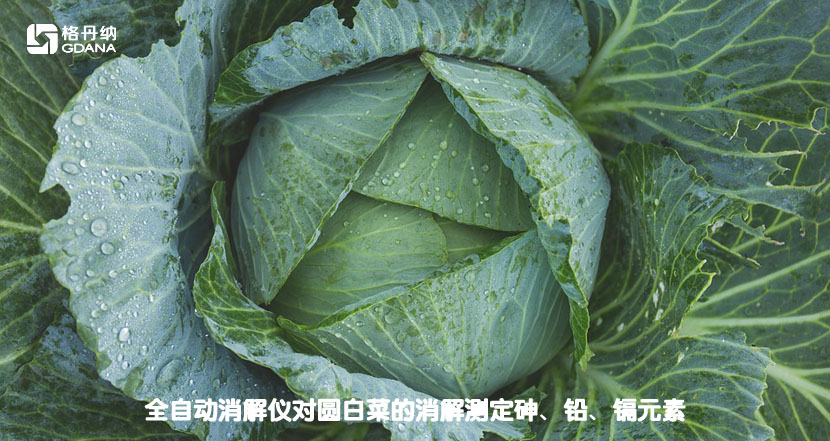 全自動消解儀對圓白菜的消解測定砷、鉛、鎘元素