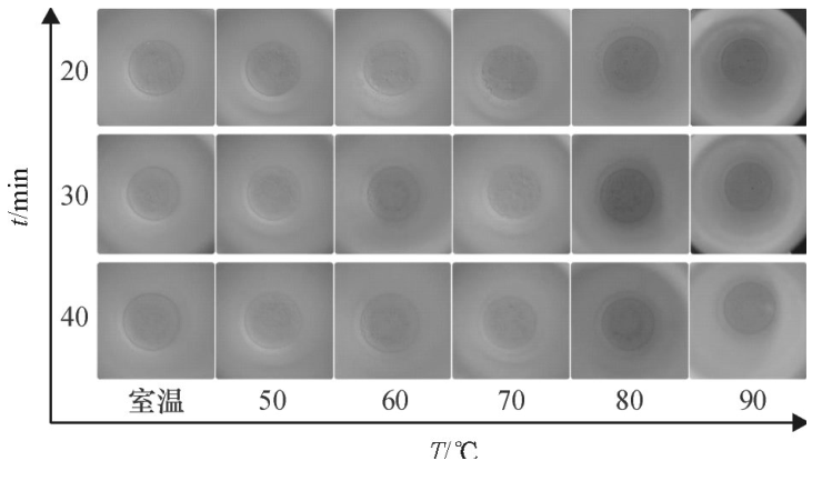 不同密閉消解時間、不同水浴溫度的消解效果